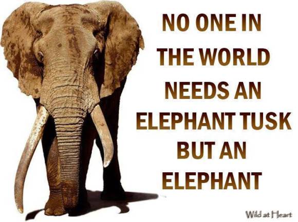 Thursday Truism 