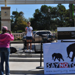 Spreading the word: IVORY BELONGS TO THE ELEPHANTS