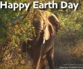 Earth Day 2015