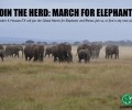 Friends of the March