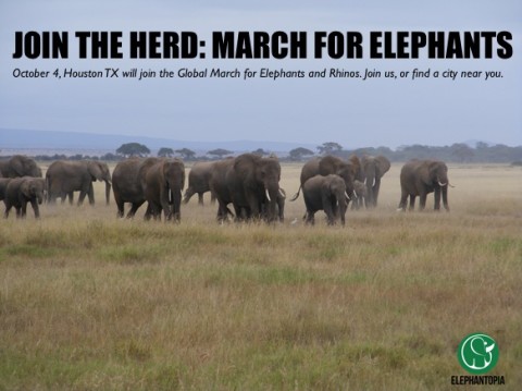 Friends of the March