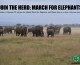Friends of the March