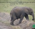 How a Birthday Party Can Change the World