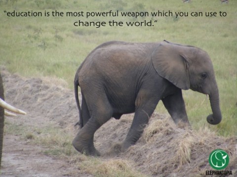 How a Birthday Party Can Change the World