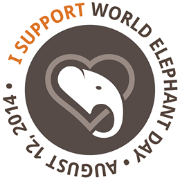 5 Ways to Celebrate World Elephant Day