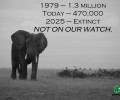 The March to Extinction