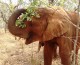 Happy Weekend: Jumbo Hopes
