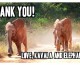 Kavala Necklace Fundraiser Update