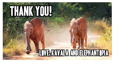 Kavala Necklace Fundraiser Update