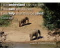 How Community Can Save Elephants in Zambia