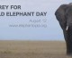 World Elephant Day Celebration