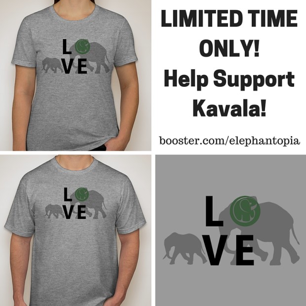 Elephant Shirts!