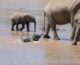 Happy Weekend: Baby Elephant Splashing